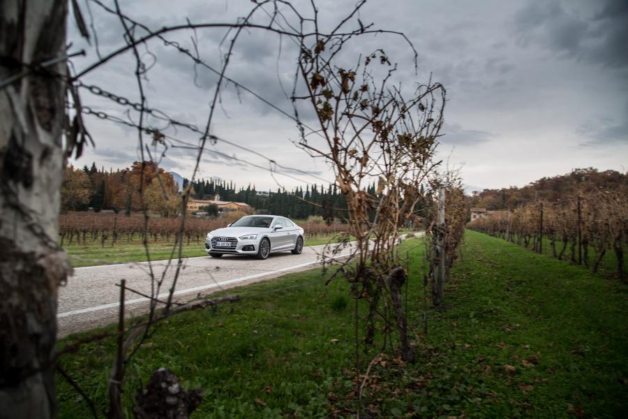  Audi A5 Coupe 2.0 TFSI Quattro 2016 года  (WW) (фото 12 из 30)